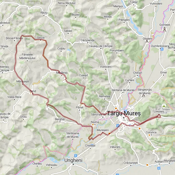 Map miniature of "The Riverside Escape" cycling inspiration in Centru, Romania. Generated by Tarmacs.app cycling route planner