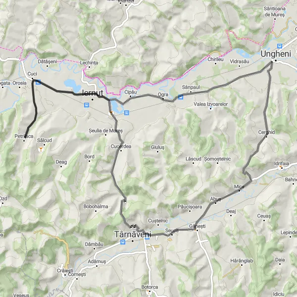 Map miniature of "Seuca Hill Challenge" cycling inspiration in Centru, Romania. Generated by Tarmacs.app cycling route planner