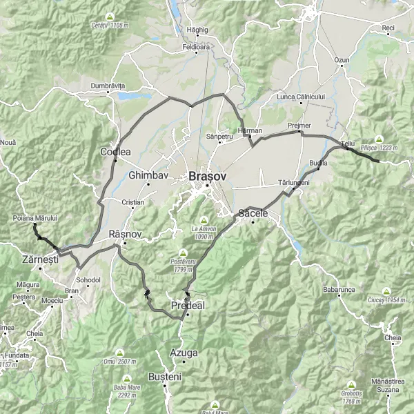 Map miniature of "Vulcan, Colonia Bod, Prejmer, Budila, Timișu de Jos, Forbanul, Pârâul Rece, and Tohanu Nou Road Cycling Route" cycling inspiration in Centru, Romania. Generated by Tarmacs.app cycling route planner