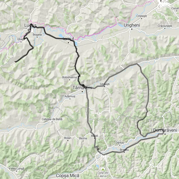 Map miniature of "Transylvanian Discovery" cycling inspiration in Centru, Romania. Generated by Tarmacs.app cycling route planner