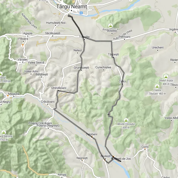 Map miniature of "Prohol-Ghindăoani Loop" cycling inspiration in Nord-Est, Romania. Generated by Tarmacs.app cycling route planner