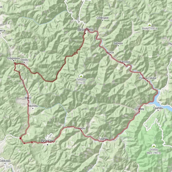 Map miniature of "The Transylvania Gravel Expedition" cycling inspiration in Nord-Est, Romania. Generated by Tarmacs.app cycling route planner