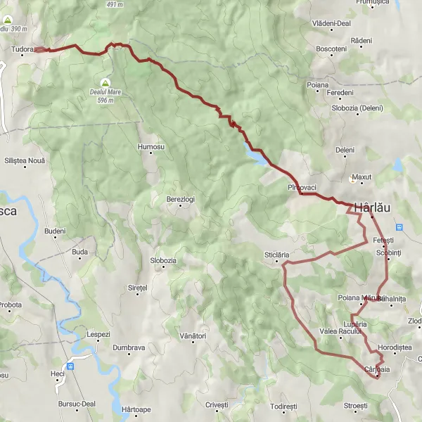 Map miniature of "Rural Gravel Adventure" cycling inspiration in Nord-Est, Romania. Generated by Tarmacs.app cycling route planner