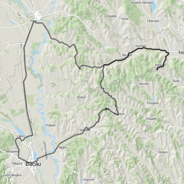 Map miniature of "The Hemeiuș Challenge" cycling inspiration in Nord-Est, Romania. Generated by Tarmacs.app cycling route planner