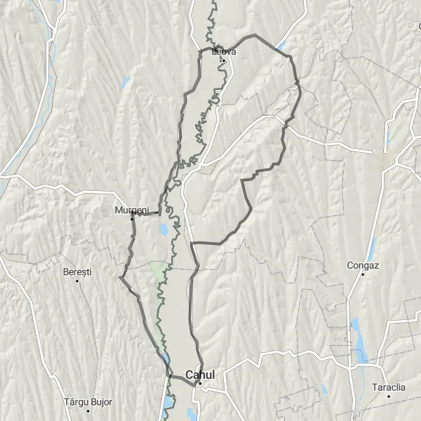 Map miniature of "The Fălciu Loop" cycling inspiration in Nord-Est, Romania. Generated by Tarmacs.app cycling route planner