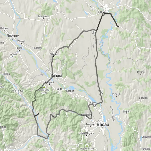 Map miniature of "The Hemeiuș Escape" cycling inspiration in Nord-Est, Romania. Generated by Tarmacs.app cycling route planner