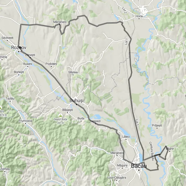 Map miniature of "Roznov and Beyond" cycling inspiration in Nord-Est, Romania. Generated by Tarmacs.app cycling route planner