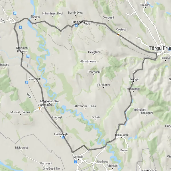 Map miniature of "Ruginoasa Castle Ride" cycling inspiration in Nord-Est, Romania. Generated by Tarmacs.app cycling route planner