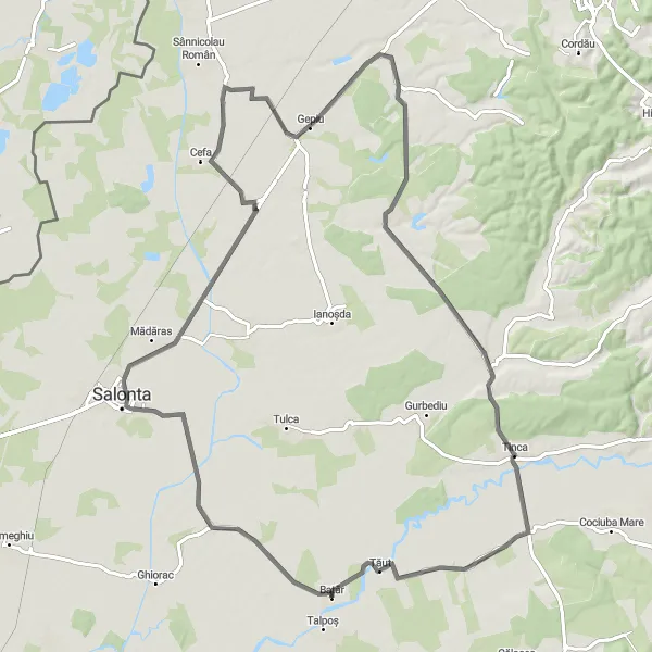 Map miniature of "Inand and Tăut Adventure" cycling inspiration in Nord-Vest, Romania. Generated by Tarmacs.app cycling route planner