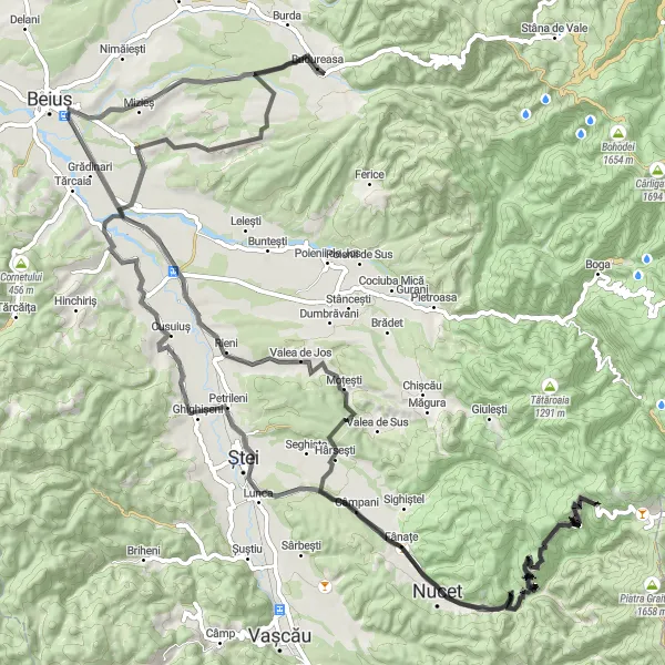 Map miniature of "Road Cycling through Budureasa" cycling inspiration in Nord-Vest, Romania. Generated by Tarmacs.app cycling route planner