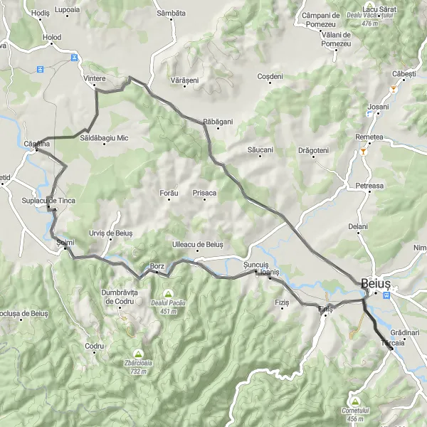 Map miniature of "Explore the Natural Beauty of Bihor" cycling inspiration in Nord-Vest, Romania. Generated by Tarmacs.app cycling route planner