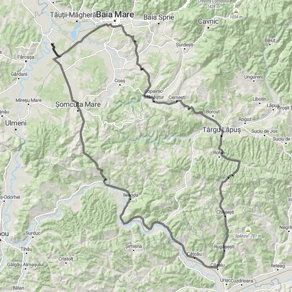 Map miniature of "Chiuiești to Târgu Lăpuș (Extended)" cycling inspiration in Nord-Vest, Romania. Generated by Tarmacs.app cycling route planner