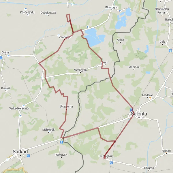 Map miniature of "Zsadány Gravel Adventure" cycling inspiration in Nord-Vest, Romania. Generated by Tarmacs.app cycling route planner