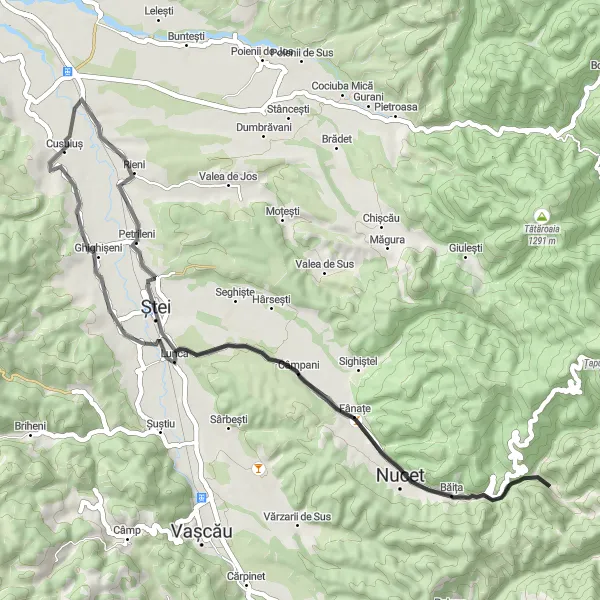 Map miniature of "The Băița Loop" cycling inspiration in Nord-Vest, Romania. Generated by Tarmacs.app cycling route planner