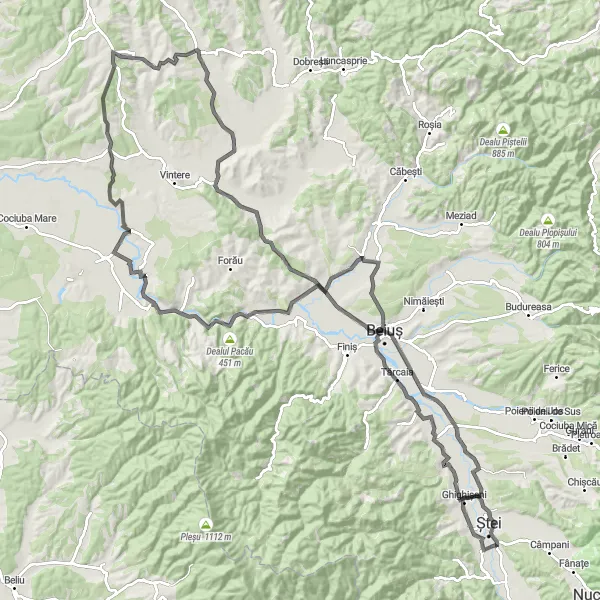 Map miniature of "Petrani to Pocola Road Cycling Route" cycling inspiration in Nord-Vest, Romania. Generated by Tarmacs.app cycling route planner