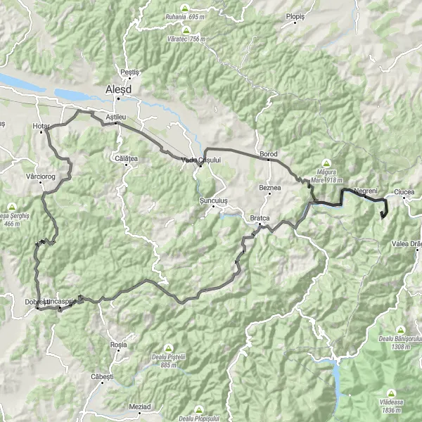 Map miniature of "Negreni Round-Trip Cycling Route" cycling inspiration in Nord-Vest, Romania. Generated by Tarmacs.app cycling route planner