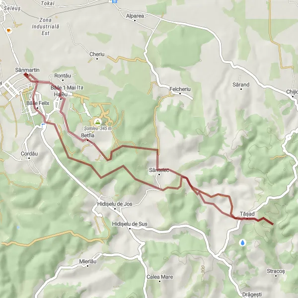 Map miniature of "Gravel Adventure to Băile Felix" cycling inspiration in Nord-Vest, Romania. Generated by Tarmacs.app cycling route planner