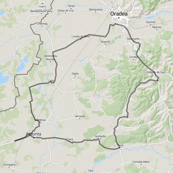 Map miniature of "Salonta Adventure Cycling Route" cycling inspiration in Nord-Vest, Romania. Generated by Tarmacs.app cycling route planner