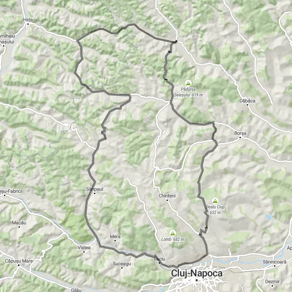 Map miniature of "Vultureni Loop" cycling inspiration in Nord-Vest, Romania. Generated by Tarmacs.app cycling route planner