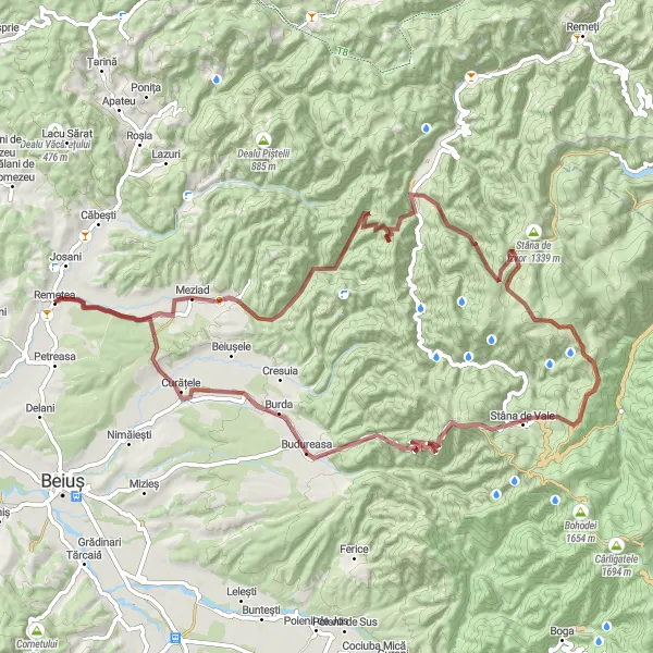 Map miniature of "Meziad Loop - Gravel ride" cycling inspiration in Nord-Vest, Romania. Generated by Tarmacs.app cycling route planner