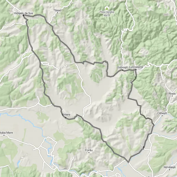 Map miniature of "Remetea Loop - Road ride" cycling inspiration in Nord-Vest, Romania. Generated by Tarmacs.app cycling route planner