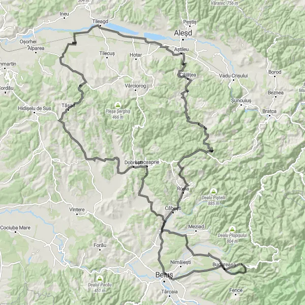 Map miniature of "Săcădat - Lacul de acumulare Tileagd - Poșoloaca - Călățea - Chicera Buglei - Dealu Pleșa - Roșia - Vălani de Pomezeu - Ceica - Tășad - Chijic Loop" cycling inspiration in Nord-Vest, Romania. Generated by Tarmacs.app cycling route planner