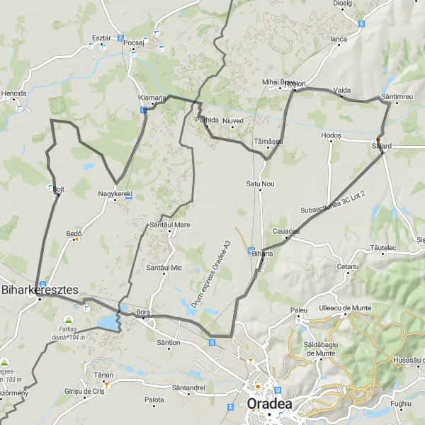 Map miniature of "The Road Adventure from Sălard" cycling inspiration in Nord-Vest, Romania. Generated by Tarmacs.app cycling route planner