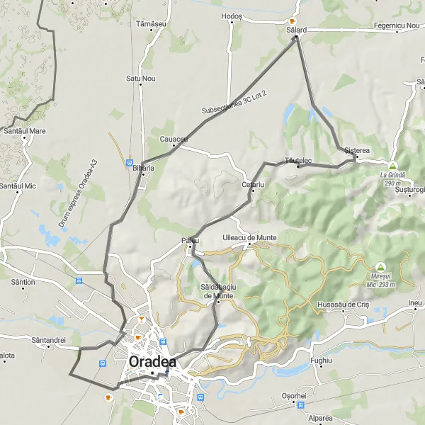 Map miniature of "Scenic Gravel Cycling Route near Sălard" cycling inspiration in Nord-Vest, Romania. Generated by Tarmacs.app cycling route planner