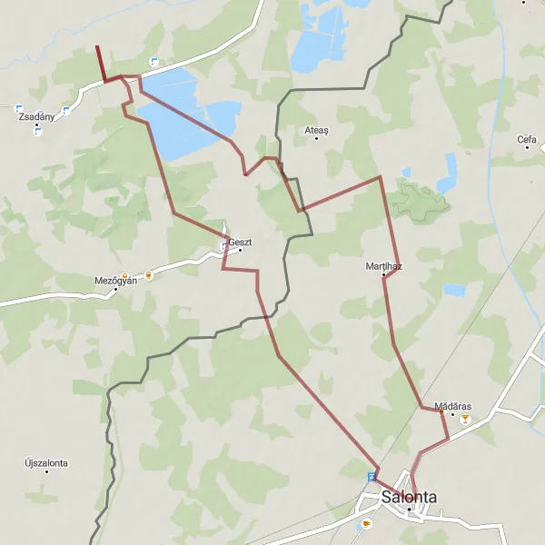 Map miniature of "Salonta Gravel Adventure" cycling inspiration in Nord-Vest, Romania. Generated by Tarmacs.app cycling route planner