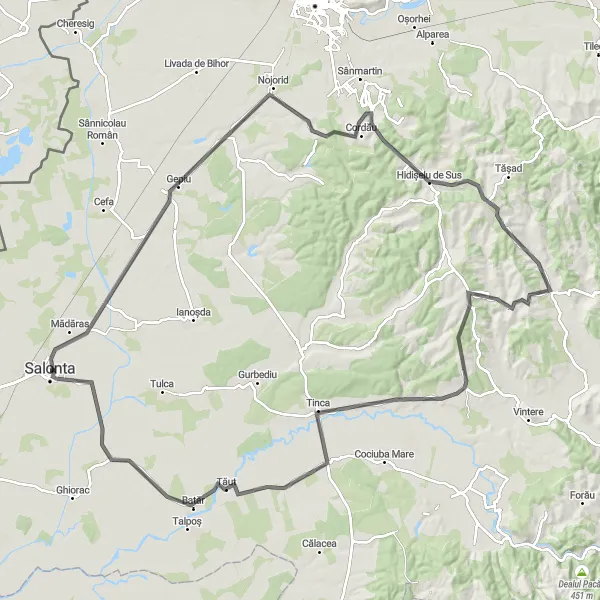 Map miniature of "Road Cycling Tour to Inand and Apateu" cycling inspiration in Nord-Vest, Romania. Generated by Tarmacs.app cycling route planner