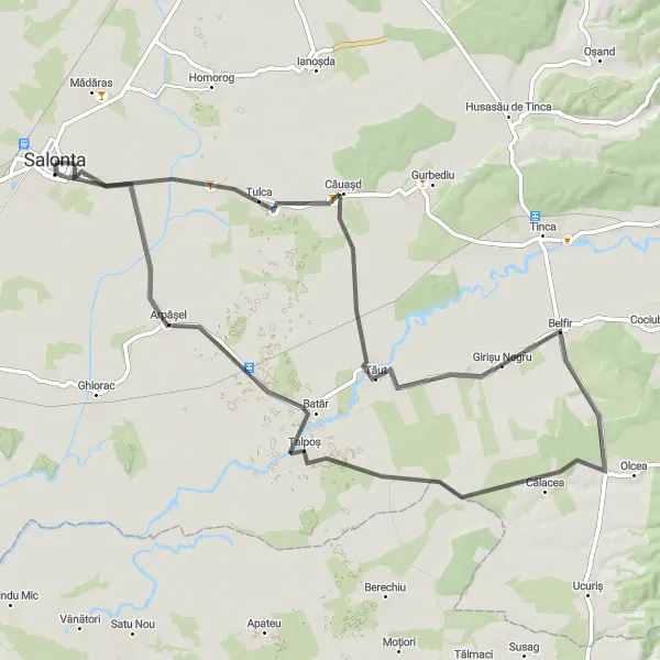 Map miniature of "Scenic Road Cycling Route to Tulca and Girișu Negru" cycling inspiration in Nord-Vest, Romania. Generated by Tarmacs.app cycling route planner