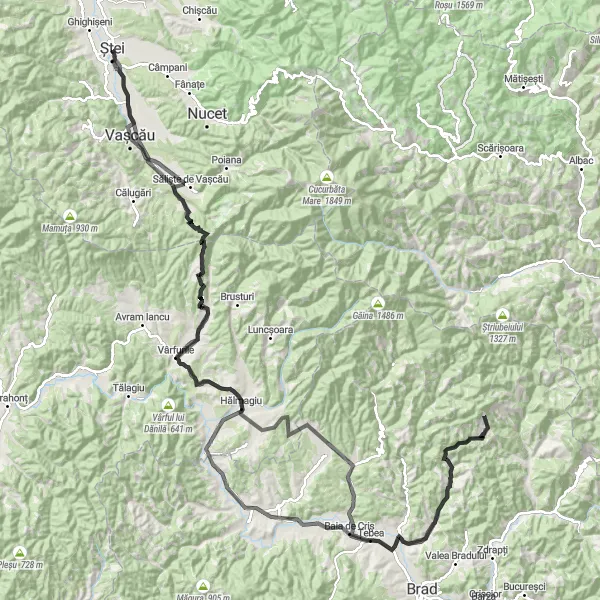 Map miniature of "Ștei Loop" cycling inspiration in Nord-Vest, Romania. Generated by Tarmacs.app cycling route planner