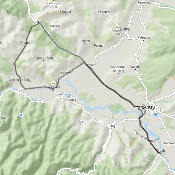 Map miniature of "Road Cycling Delight: Dealu Șura and Petrani Loop" cycling inspiration in Nord-Vest, Romania. Generated by Tarmacs.app cycling route planner