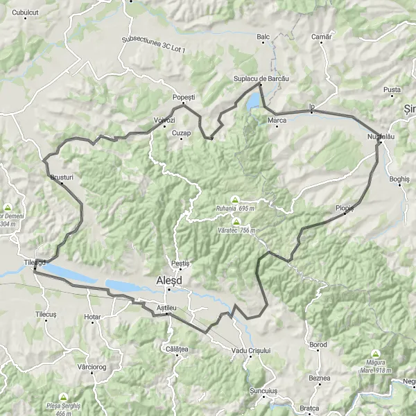 Map miniature of "Road Cycling Tour to Sacalasău and Beyond" cycling inspiration in Nord-Vest, Romania. Generated by Tarmacs.app cycling route planner