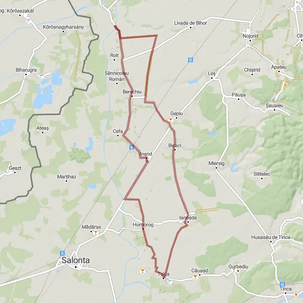 Map miniature of "Gravel Adventure in Bicaci and Homorog" cycling inspiration in Nord-Vest, Romania. Generated by Tarmacs.app cycling route planner