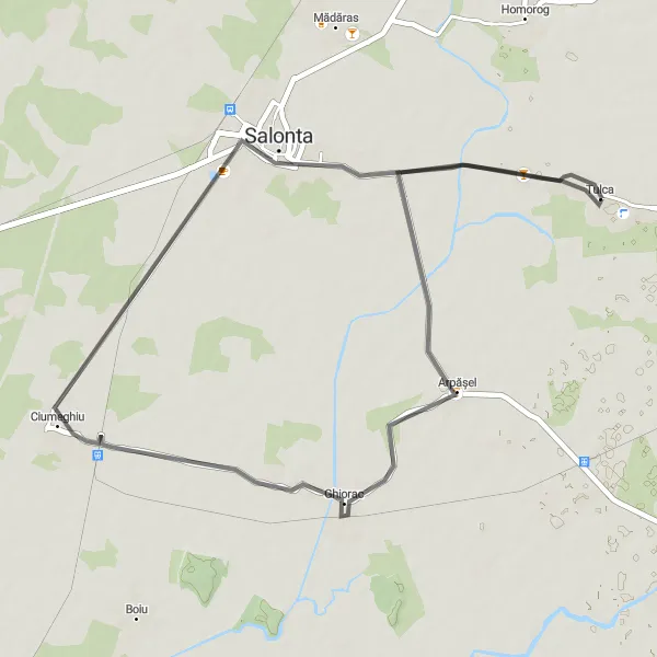 Map miniature of "The Hidden Charm of Ciumeghiu" cycling inspiration in Nord-Vest, Romania. Generated by Tarmacs.app cycling route planner