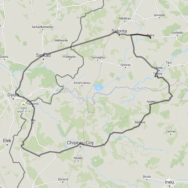 Map miniature of "Tulca to Salonta Ultracycling Challenge" cycling inspiration in Nord-Vest, Romania. Generated by Tarmacs.app cycling route planner