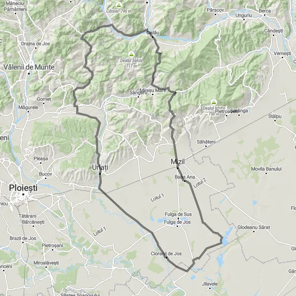 Map miniature of "Scenic Fefelei to Albești-Paleologu" cycling inspiration in Sud-Est, Romania. Generated by Tarmacs.app cycling route planner