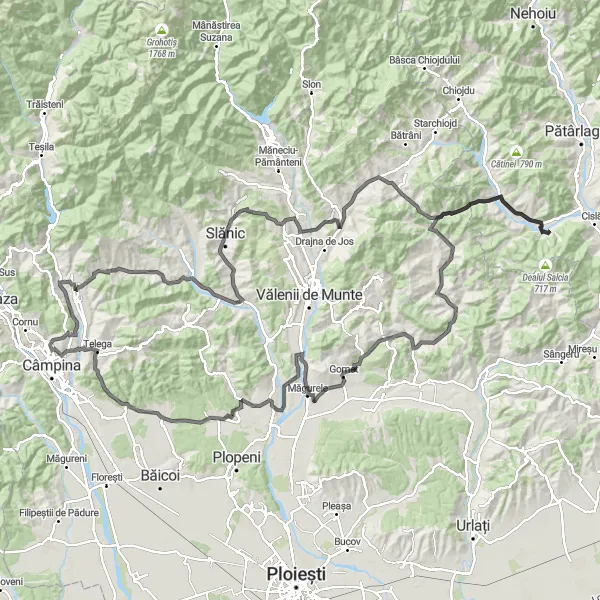 Map miniature of "Calvini and Beyond" cycling inspiration in Sud-Est, Romania. Generated by Tarmacs.app cycling route planner