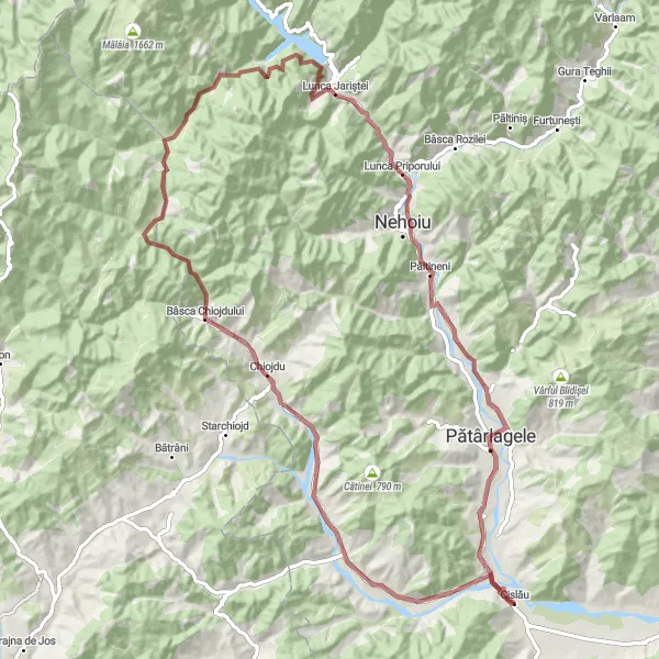 Map miniature of "Gravel Delight of Sud-Est Romania" cycling inspiration in Sud-Est, Romania. Generated by Tarmacs.app cycling route planner