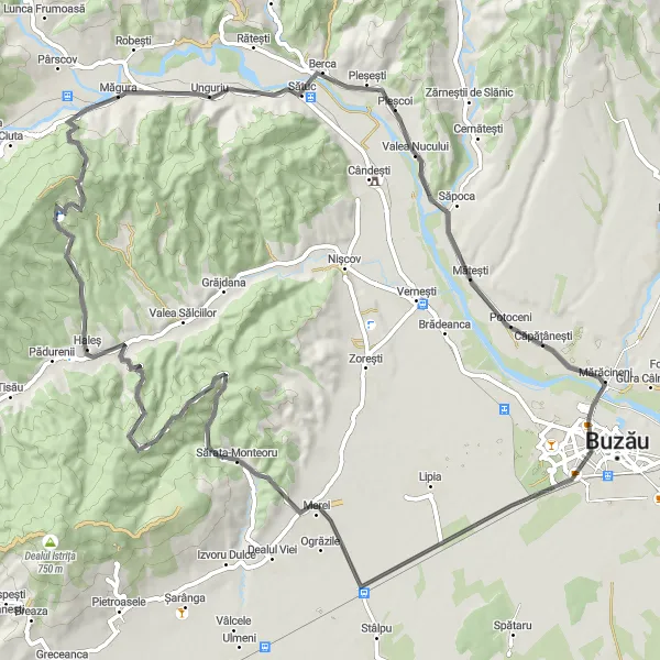 Map miniature of "Serenity Road" cycling inspiration in Sud-Est, Romania. Generated by Tarmacs.app cycling route planner