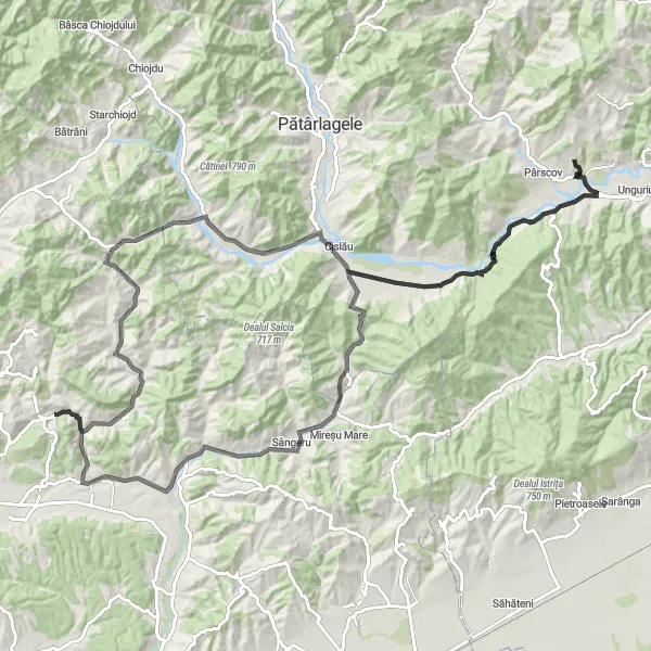 Map miniature of "Viperești and Calvini" cycling inspiration in Sud-Est, Romania. Generated by Tarmacs.app cycling route planner