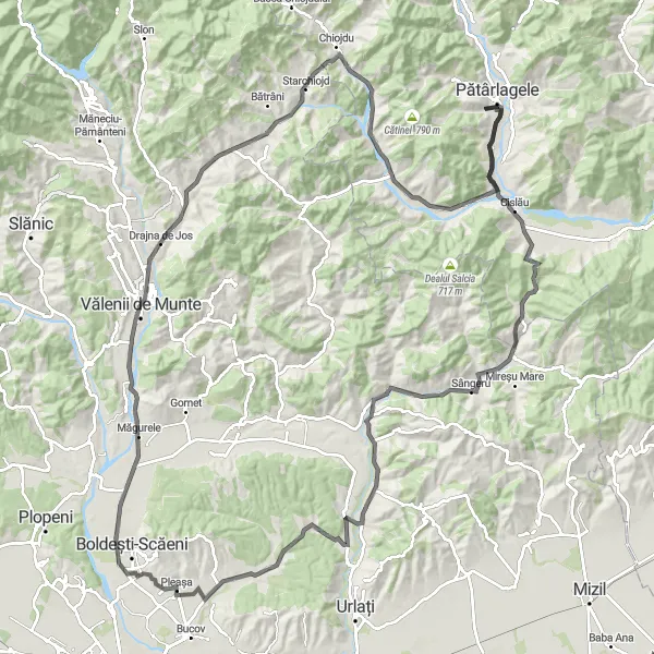 Map miniature of "The Pleașa Challenge" cycling inspiration in Sud-Est, Romania. Generated by Tarmacs.app cycling route planner