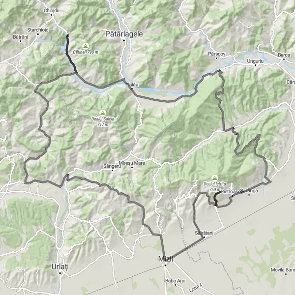 Map miniature of "Pietroasele Scenic Route" cycling inspiration in Sud-Est, Romania. Generated by Tarmacs.app cycling route planner