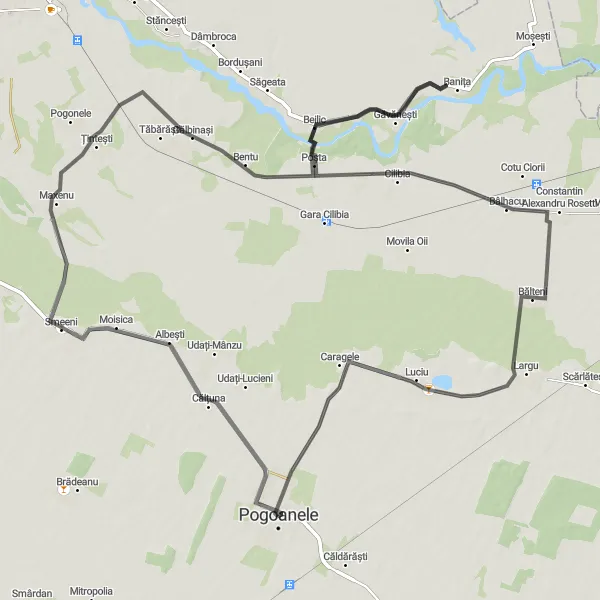 Map miniature of "Pogoanele Loop" cycling inspiration in Sud-Est, Romania. Generated by Tarmacs.app cycling route planner