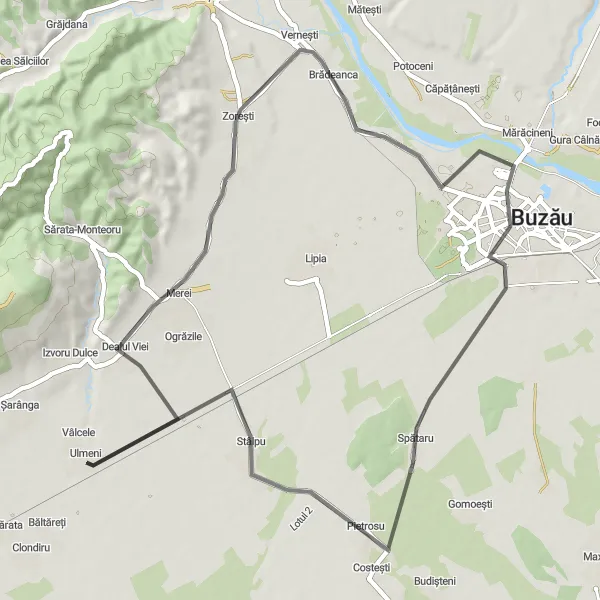 Map miniature of "Dealul Viei and Stâlpu Road Route" cycling inspiration in Sud-Est, Romania. Generated by Tarmacs.app cycling route planner