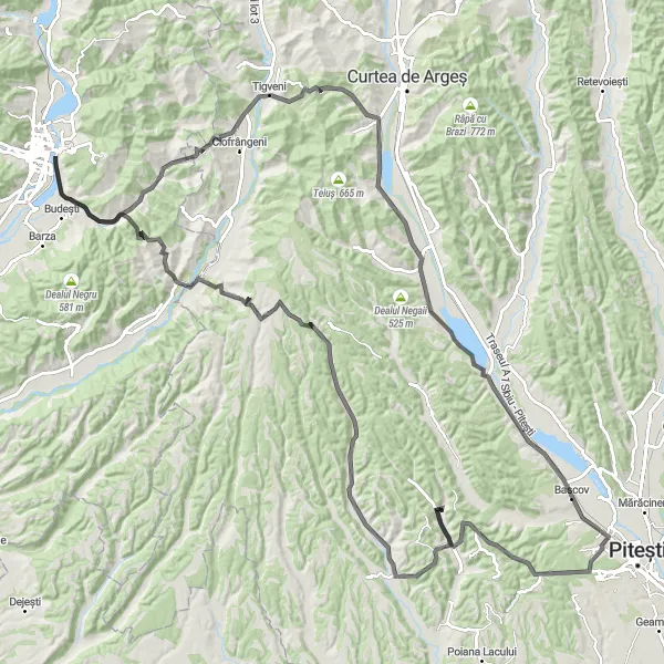 Map miniature of "Cotmeana - Morărești - Vărzaru Loop" cycling inspiration in Sud-Muntenia, Romania. Generated by Tarmacs.app cycling route planner