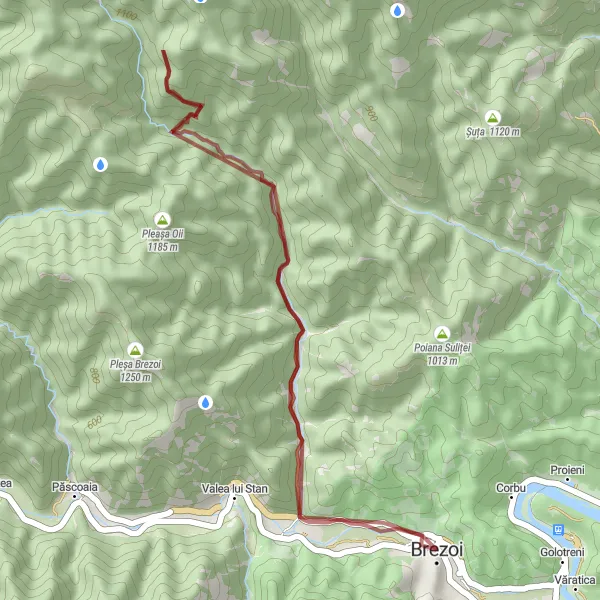 Map miniature of "Wild Gravel Adventure" cycling inspiration in Sud-Vest Oltenia, Romania. Generated by Tarmacs.app cycling route planner