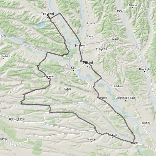 Map miniature of "Turceni to Filiasi Loop" cycling inspiration in Sud-Vest Oltenia, Romania. Generated by Tarmacs.app cycling route planner