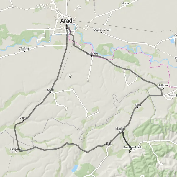 Map miniature of "Fântânele Loop" cycling inspiration in Vest, Romania. Generated by Tarmacs.app cycling route planner